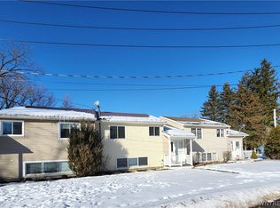 19 Mill St, Springville, NY 14141