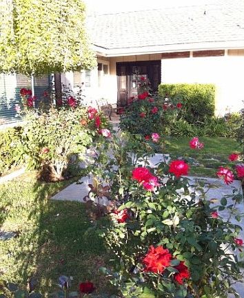 3rd image of 1056 Camino Magenta