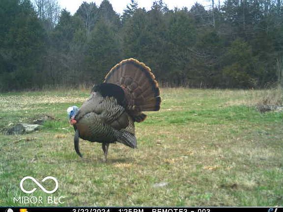 3rd image of 4000 N County Road 650 W