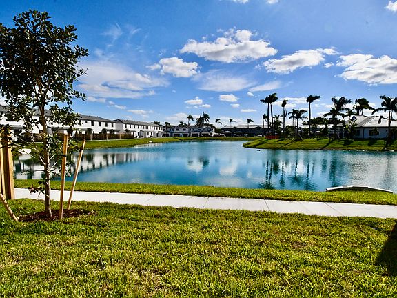 Backyard View