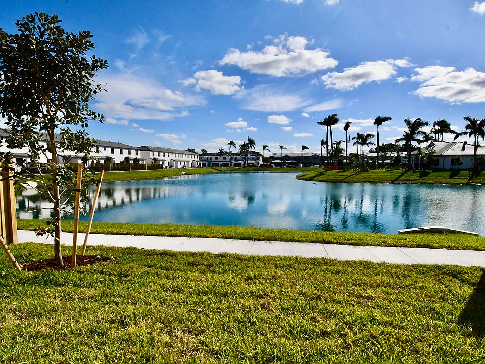 Backyard View