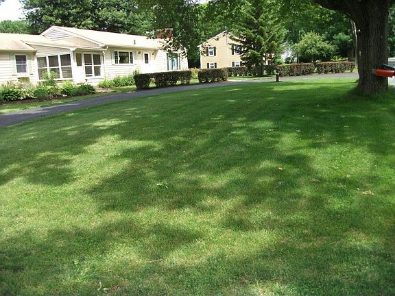 Front yard