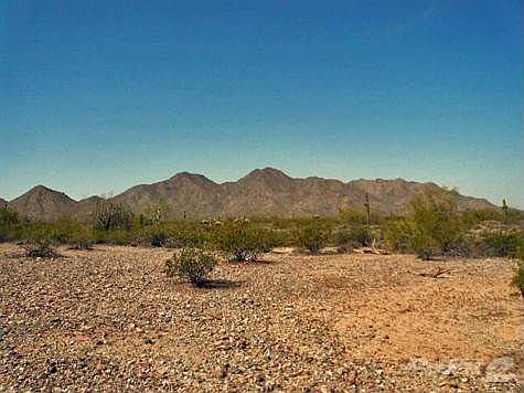 Welcome Home to Chandler Heights Ranches!