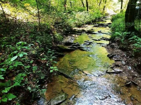 LOT 10 Newcombe Branch Way, Cosby, TN 37722