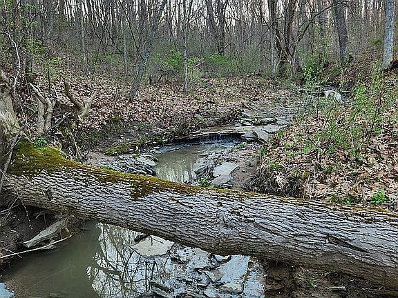 4th image of 3976 E Olean Rd