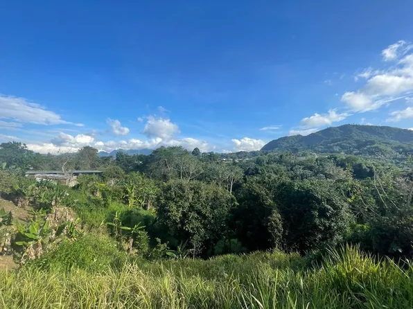 Paso Palmas Carr 140 Km #17.1, Jayuya, PR 00664