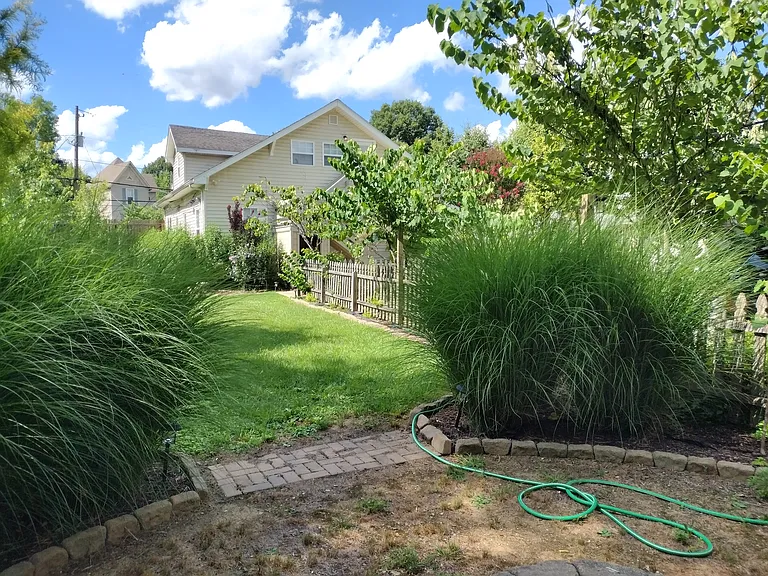 2328 Cedar Ln #B — Photo 37