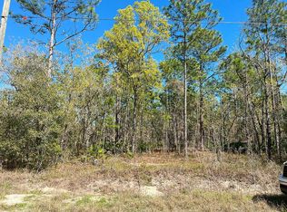 LOT 4 Macek Rd, Weeki Wachee, FL 34614