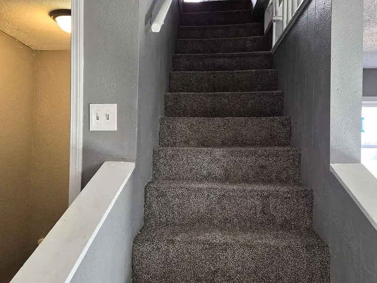 908 Mulberry St — Photo 9