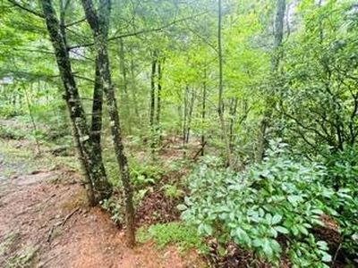 106 Pine Terrace Cir, Blue Ridge, GA, 30513