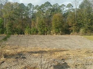 8 Palmetto Pines Cir, Ray City, GA 31645