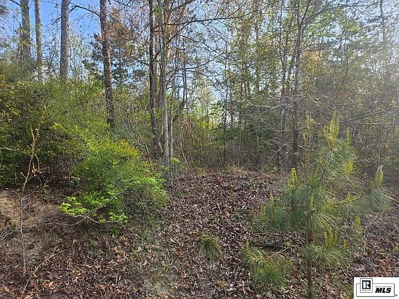 5th image of 0 Lapine Rd