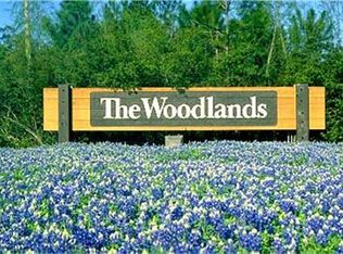 27 Meadow Brook Pl, Spring, TX 77382