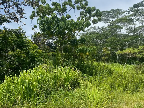 15-1834 7th Ave Lot 2107, Keaau, HI 96749