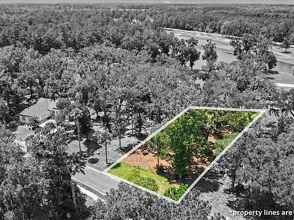 5th image of Lot 13 Audubon