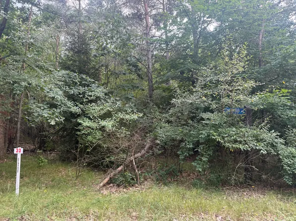 10181 Sherwood Cir #33, Stanwood, MI 49346
