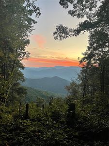 0 Buck Knob Road, Scaly Mountain, NC, 28775