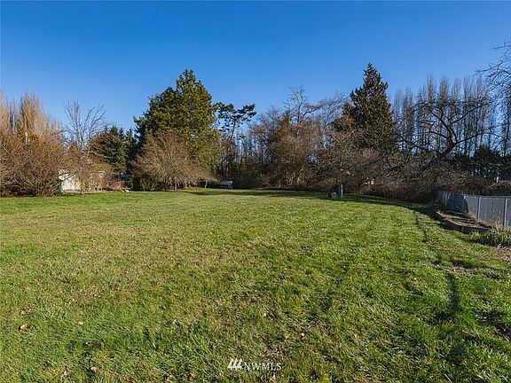 2nd Lot looking east. Numerous fruit trees - apple, pear, plum, pear apple, cherries.