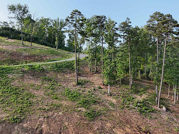 5th image of 51 Fall Creek Dr