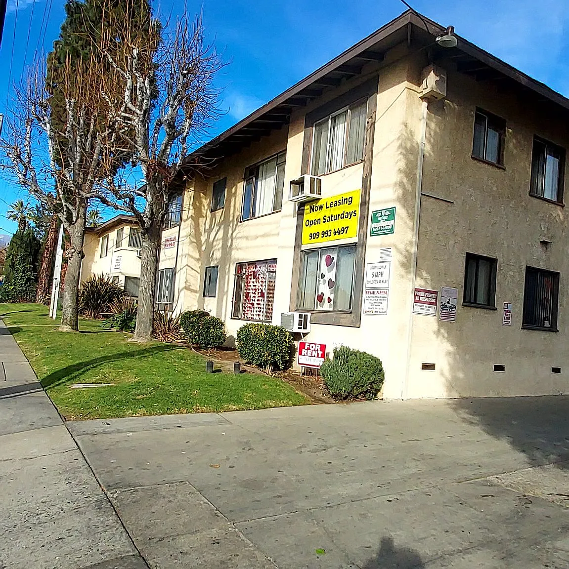1 bed, 677 sqft, $1,795 — Photo 1