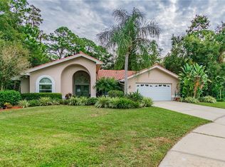 1100 Lake Ridge Ct, Safety Harbor, FL 34695