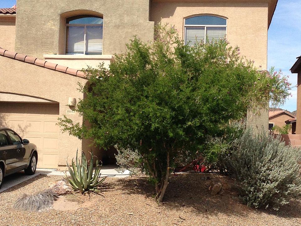2nd image of 8643 N Shadow Wash Way