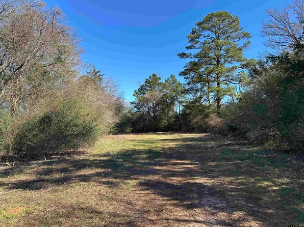 County Road 2501, Alto, TX 75925