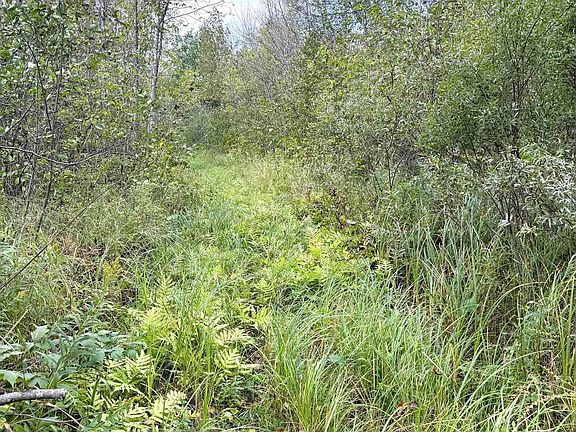 4th image of tbd Trail Rd