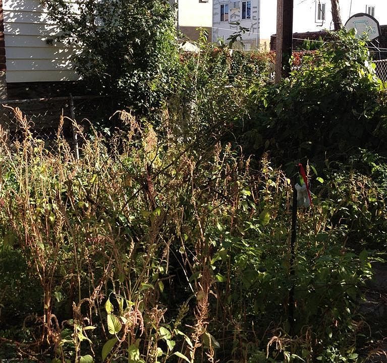 1st image of 1020 E 224th St