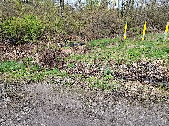 2nd image of 19th Ave
