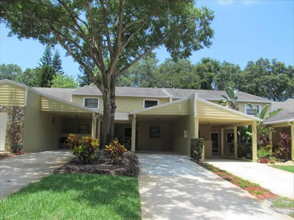 205 Somerset Ln, Palm Harbor, FL 34684