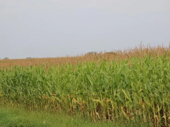 3 Clover Ln NE, Eagle Bend, MN 56446