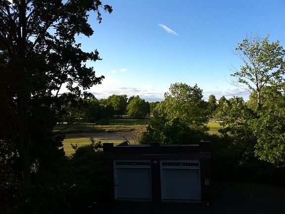 view from the back porch