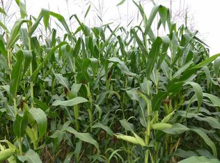 00 Chestnut Rd, Arpin, WI 54410