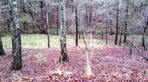 1st image of 3 Chapman Ln