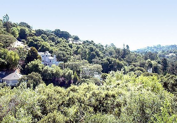 Oak forest views from most rooms & decks