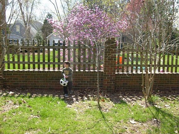 this is the brick fence that encircles the back yard. The front has no wood
