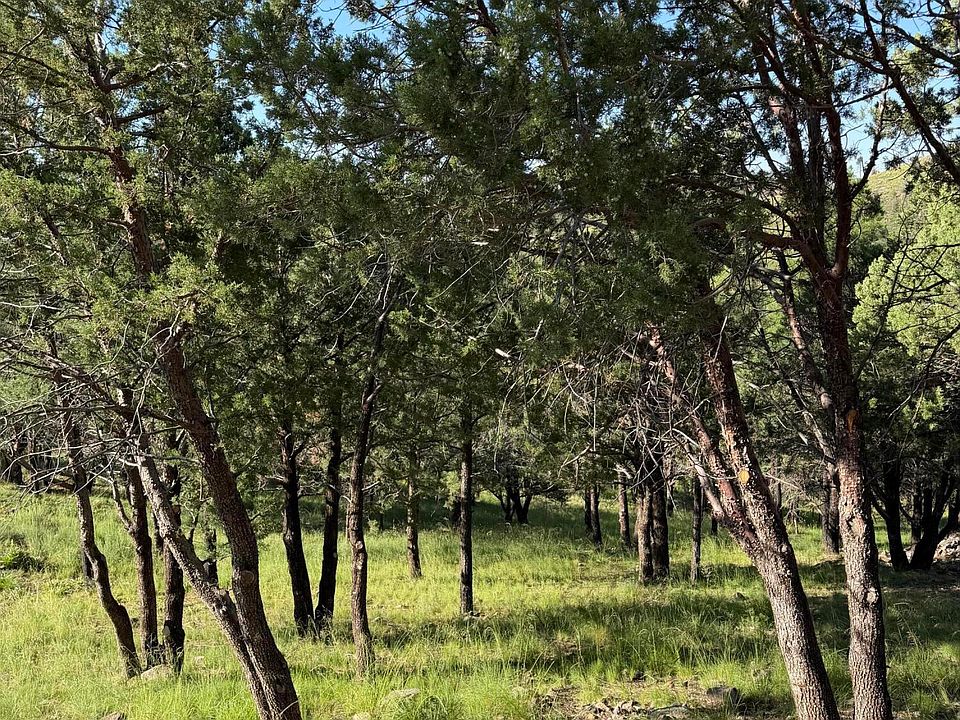 2nd image of 198 Crown Ridge Rd