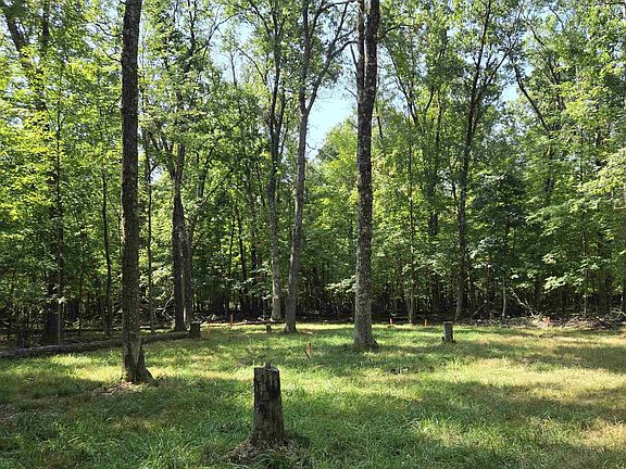 5th image of LOT 6 Aspen
