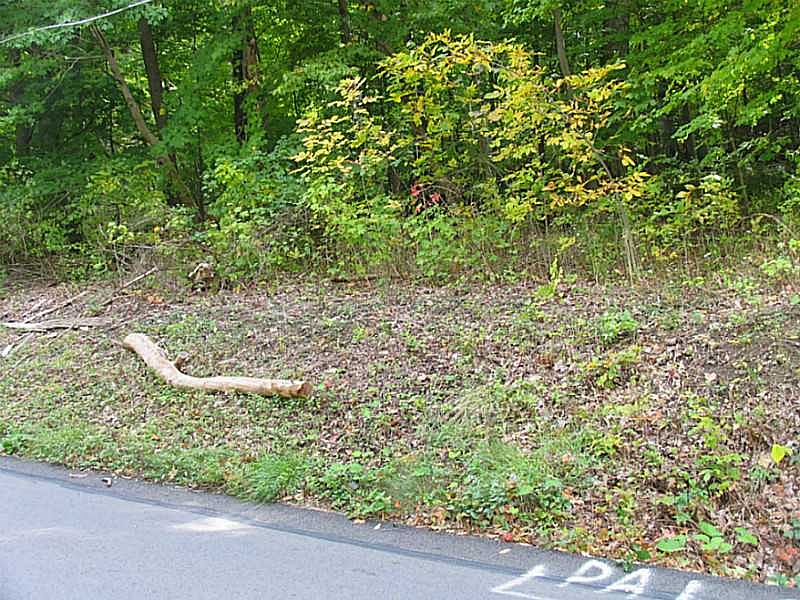 1st image of Linnwood