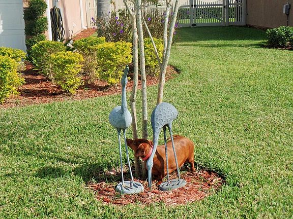 5th image of 715 Grape Ivy Ln