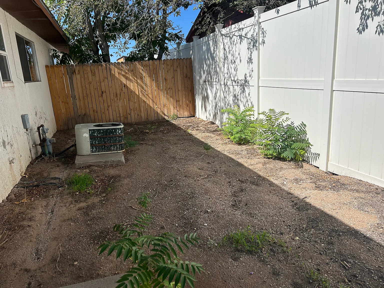 2 bed, 700 sqft, $900 — Photo 3