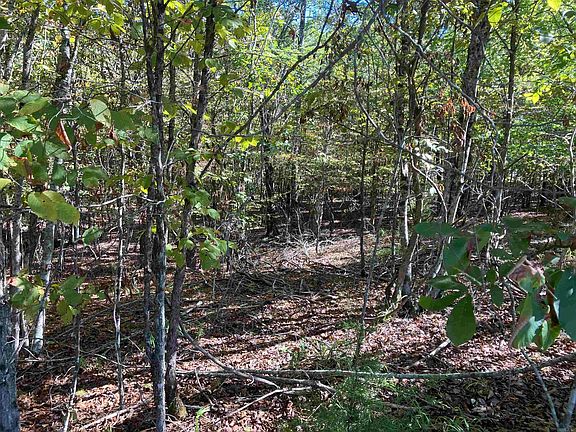 5th image of TRACT 5 Polk Rd #78