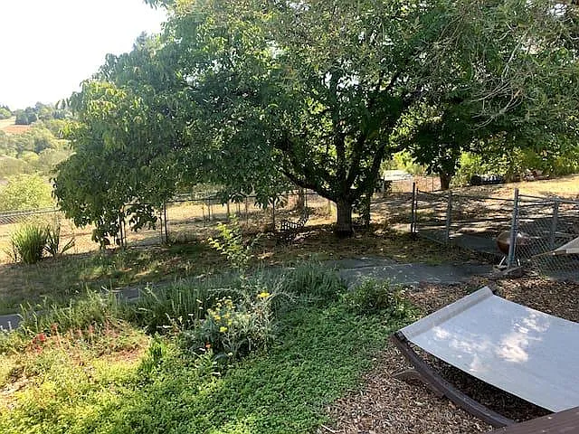 827 Watertrough Rd — Photo 7