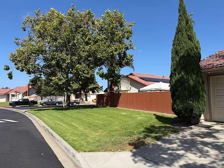 White Pine Way — Photo 14