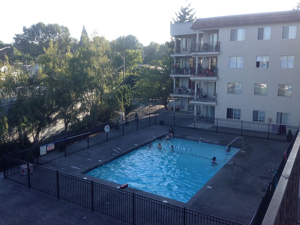 Newly Renovated Pool 