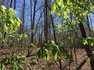 1112 Pecks Rd, Dahlonega, GA 30533