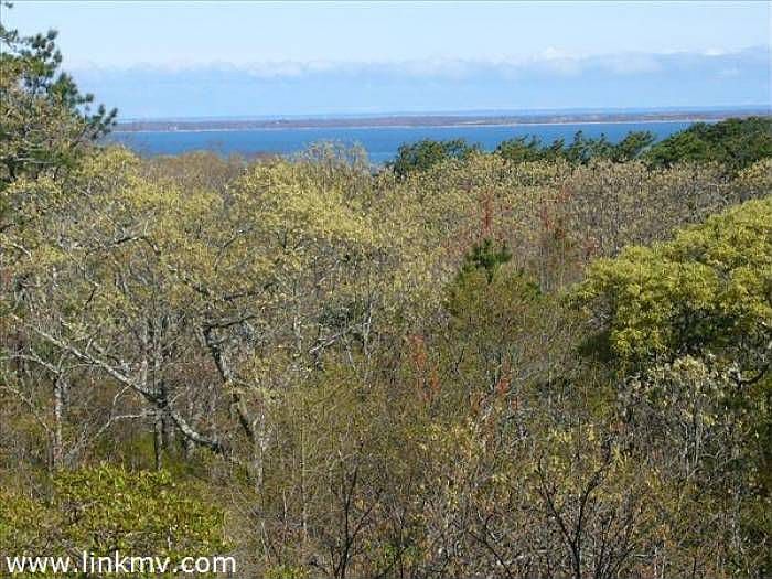 Martha's Vineyard listing