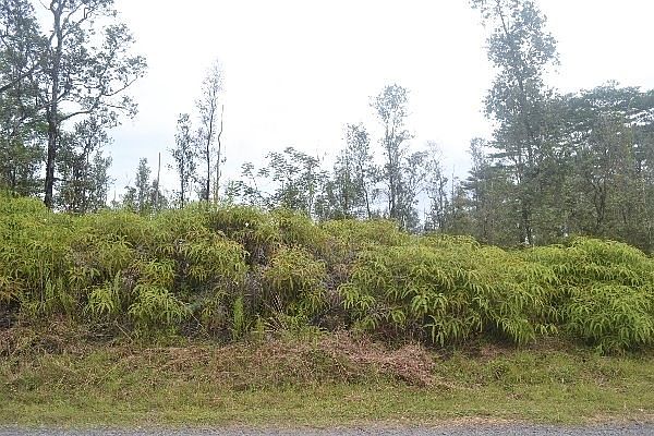 1st image of 15th Ave Lot 910