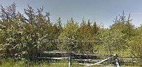 2nd image of 253 Craigen Rd